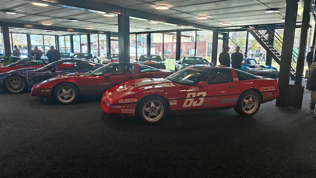 Opening Stingray '82