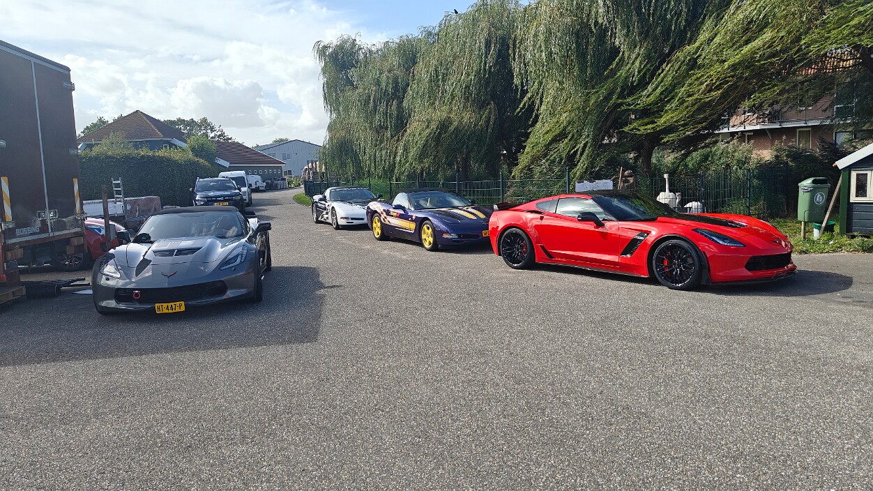 Stingray De Rijp